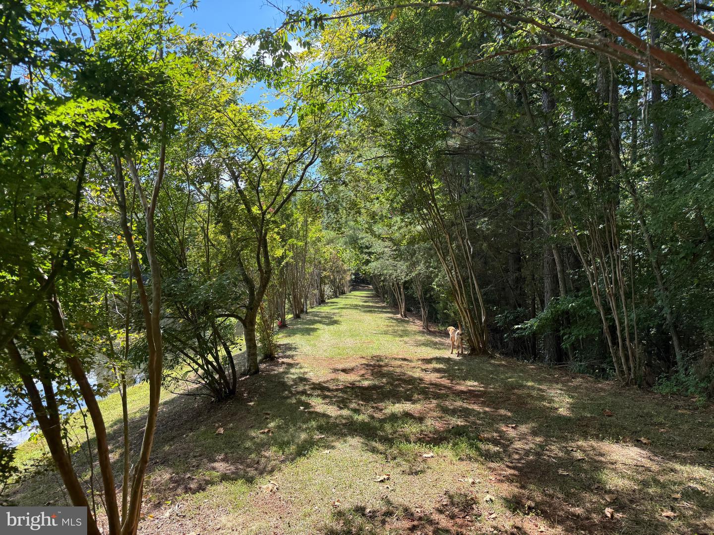 2082 LITTLE DOGWOOD ROAD, SPOUT SPRING, Virginia 24593, 2 Bedrooms Bedrooms, ,2 BathroomsBathrooms,Farm,For sale,2082 LITTLE DOGWOOD ROAD,VAAV2000034 MLS # VAAV2000034