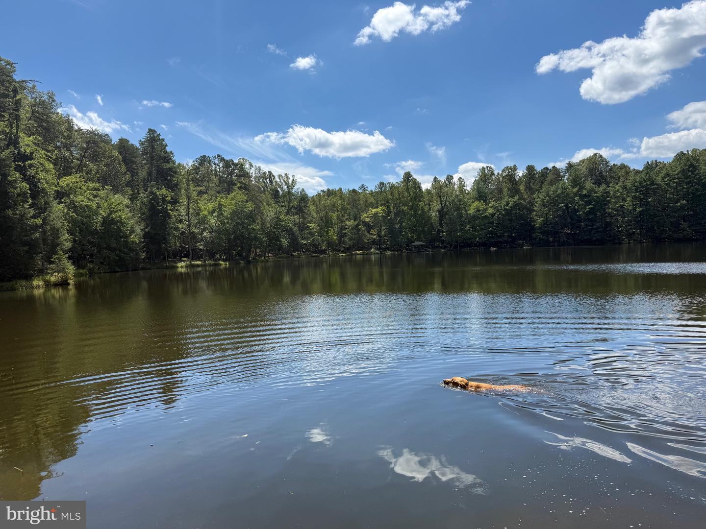 2082 LITTLE DOGWOOD ROAD, SPOUT SPRING, Virginia 24593, 2 Bedrooms Bedrooms, ,2 BathroomsBathrooms,Farm,For sale,2082 LITTLE DOGWOOD ROAD,VAAV2000034 MLS # VAAV2000034