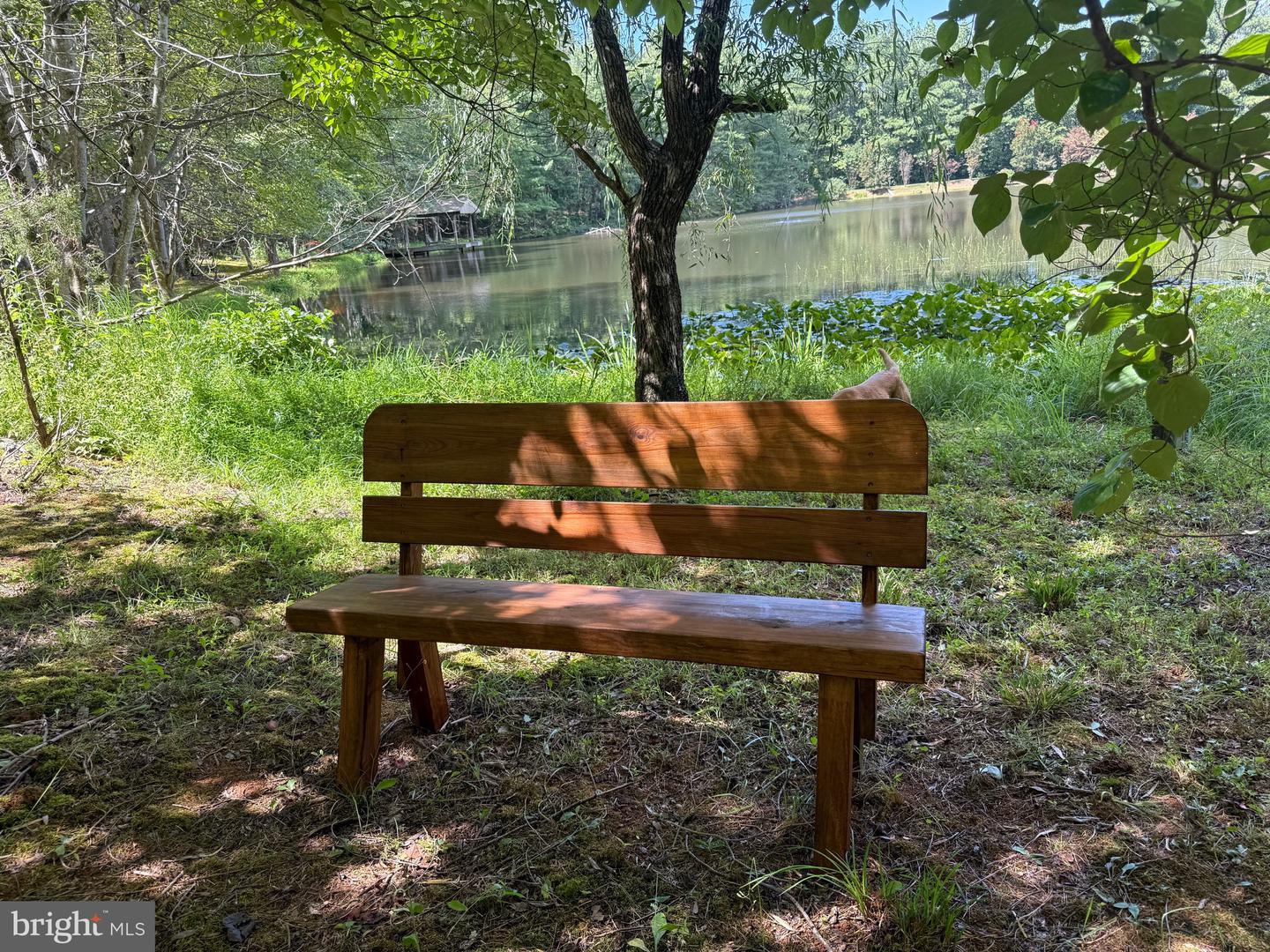 2082 LITTLE DOGWOOD ROAD, SPOUT SPRING, Virginia 24593, 2 Bedrooms Bedrooms, ,2 BathroomsBathrooms,Farm,For sale,2082 LITTLE DOGWOOD ROAD,VAAV2000034 MLS # VAAV2000034