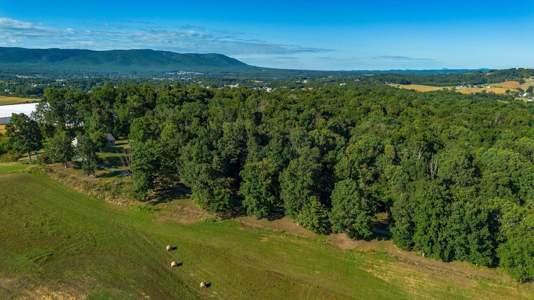 TBD SWEET OAKS LANE, STUARTS DRAFT, Virginia 24477, ,Land,TBD SWEET OAKS LANE,668481 MLS # 668481