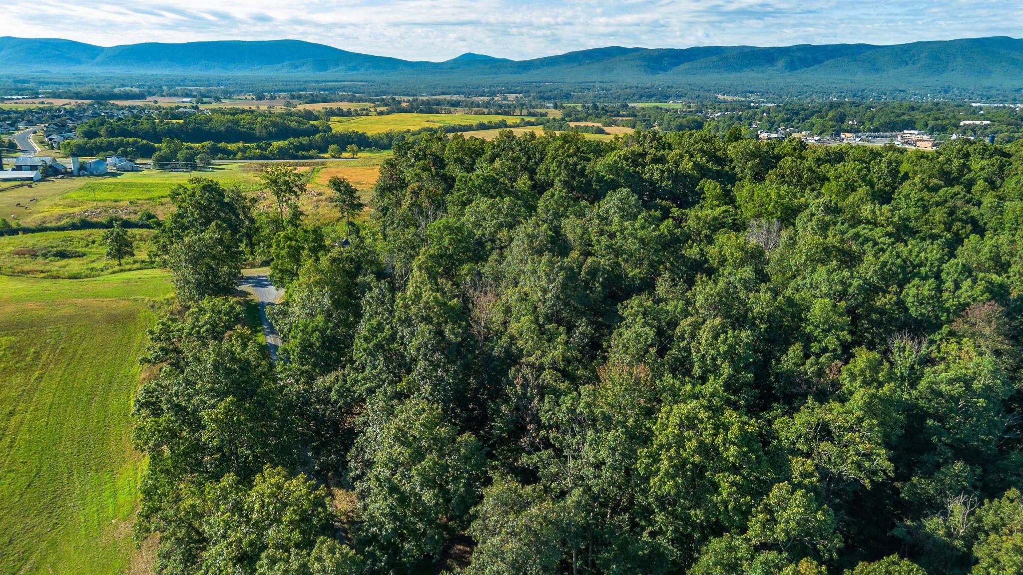 TBD SWEET OAKS LANE, STUARTS DRAFT, Virginia 24477, ,Land,TBD SWEET OAKS LANE,668481 MLS # 668481