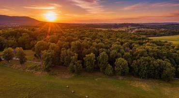 TBD SWEET OAKS LANE, STUARTS DRAFT, Virginia 24477, ,Land,TBD SWEET OAKS LANE,668481 MLS # 668481