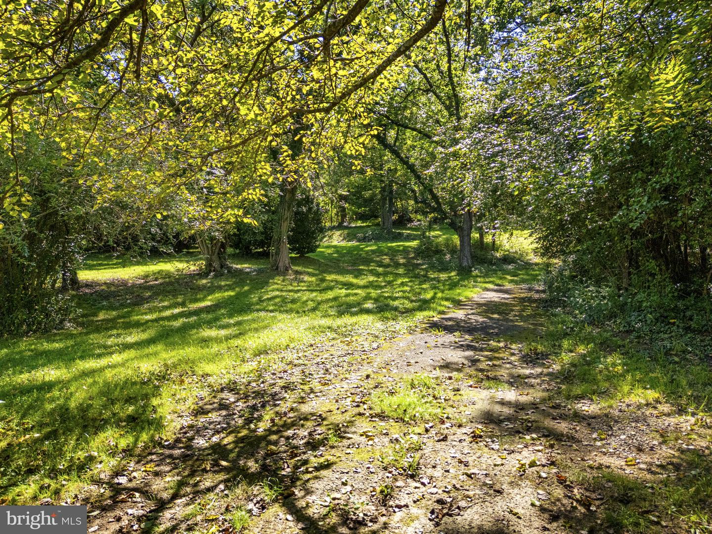 0 FAUQUIER AVE - 6989-86-9651-000, THE PLAINS, Virginia 20198, ,Land,For sale,0 FAUQUIER AVE - 6989-86-9651-000,VAFQ2018122 MLS # VAFQ2018122