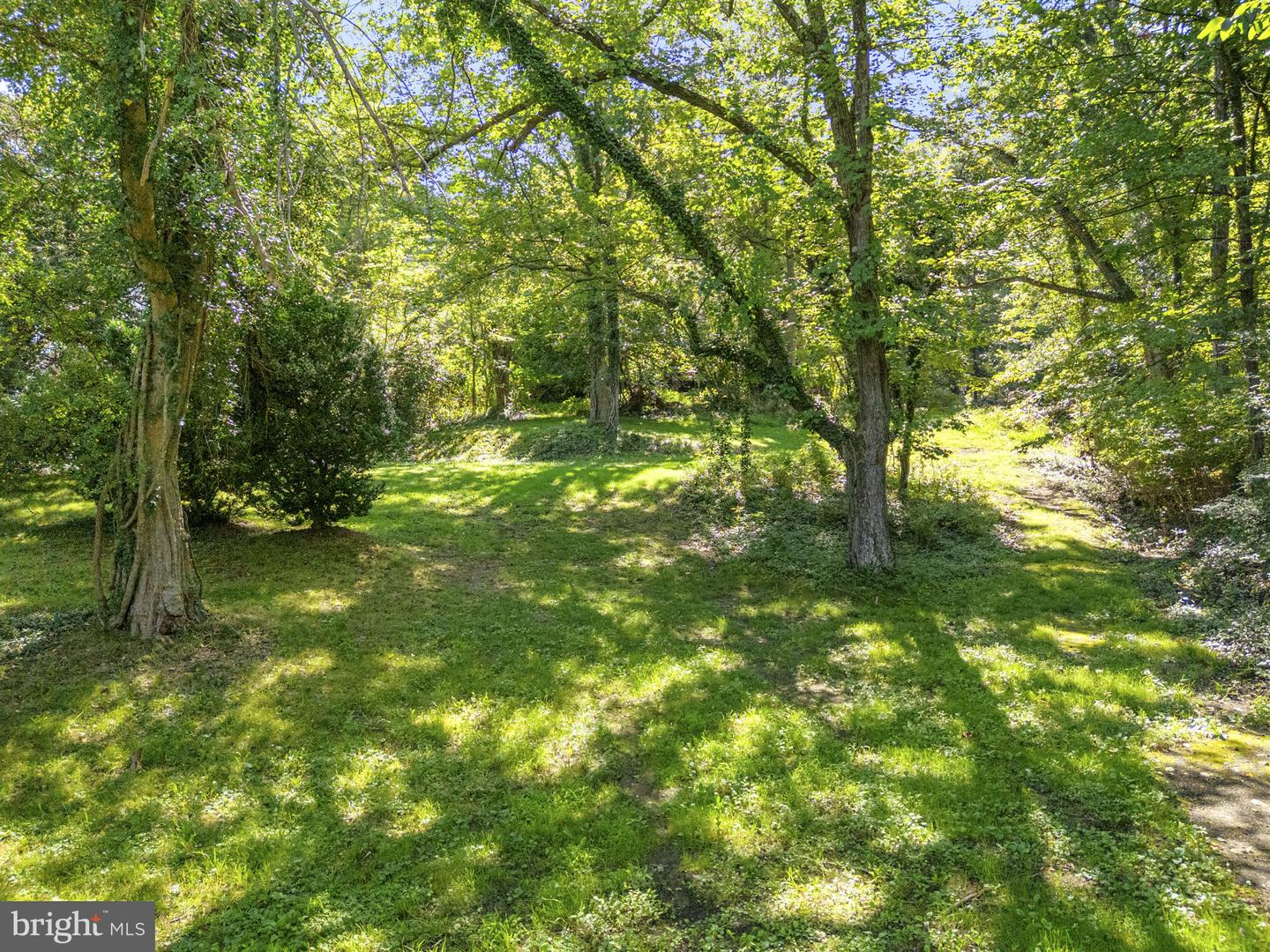 0 FAUQUIER AVE - 6989-86-9651-000, THE PLAINS, Virginia 20198, ,Land,For sale,0 FAUQUIER AVE - 6989-86-9651-000,VAFQ2018122 MLS # VAFQ2018122