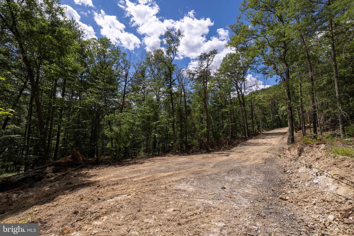 0 LIBERTY FURNACE RD, EDINBURG, Virginia 22824, ,Land,For sale,0 LIBERTY FURNACE RD,VASH2012394 MLS # VASH2012394