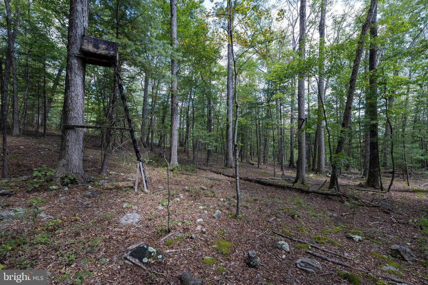0 LIBERTY FURNACE RD, EDINBURG, Virginia 22824, ,Land,For sale,0 LIBERTY FURNACE RD,VASH2012394 MLS # VASH2012394