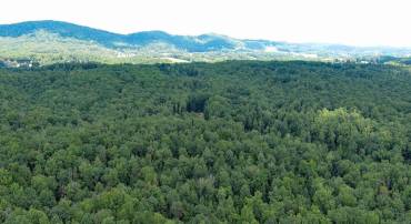 00 JUSTICE DR, GORDONSVILLE, Virginia 22942, ,Land,For sale,00 JUSTICE DR,VAOR2010650 MLS # VAOR2010650