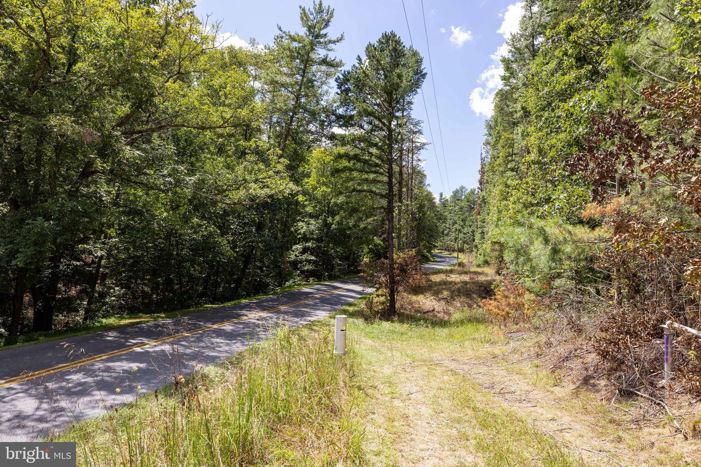 LIBERTY FURNACE RD., EDINBURG, Virginia 22824, ,Land,For sale,LIBERTY FURNACE RD.,VASH2012404 MLS # VASH2012404