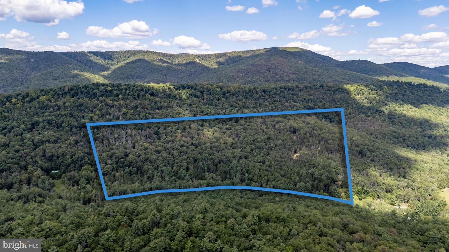 LIBERTY FURNACE ROAD, EDINBURG, Virginia 22824, ,Land,For sale,LIBERTY FURNACE ROAD,VASH2012406 MLS # VASH2012406