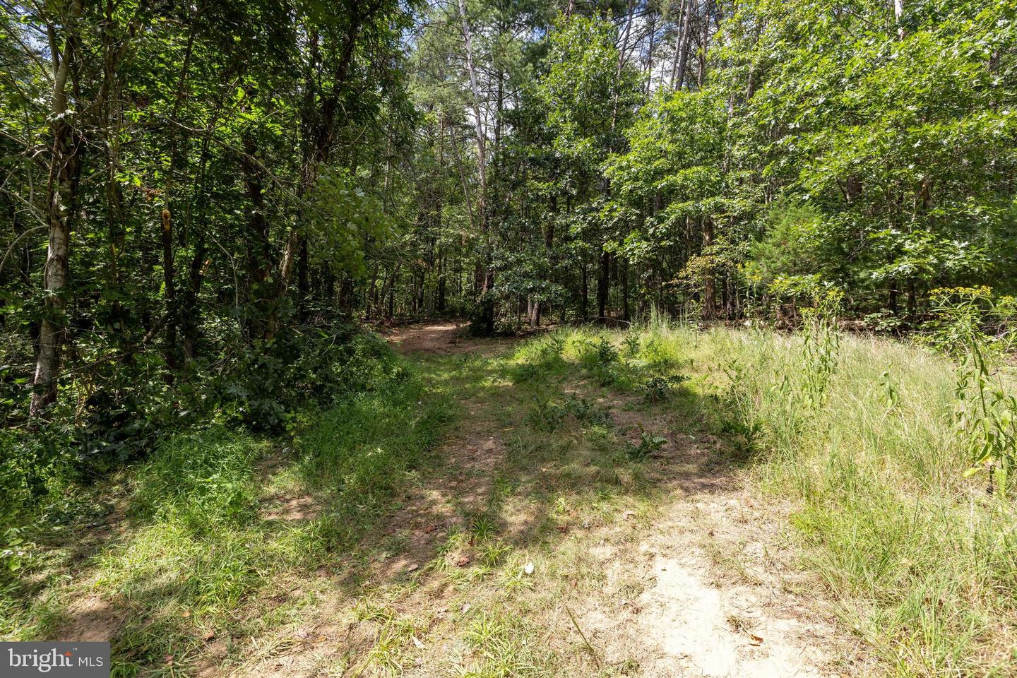 LIBERTY FURNACE ROAD, EDINBURG, Virginia 22824, ,Land,For sale,LIBERTY FURNACE ROAD,VASH2012406 MLS # VASH2012406