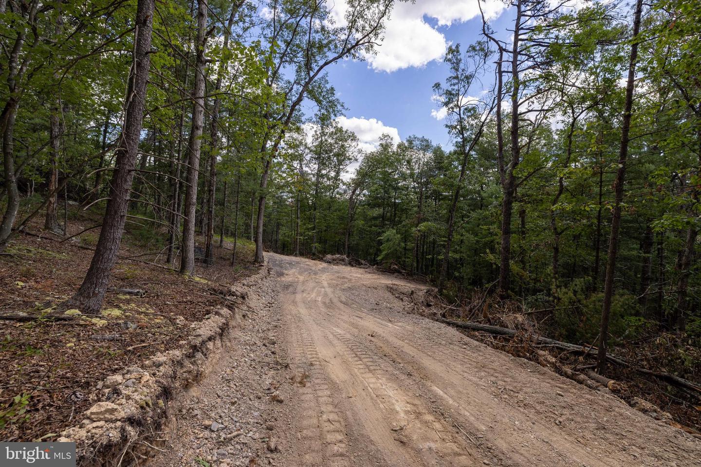 LIBERTY FURNACE ROAD, EDINBURG, Virginia 22824, ,Land,For sale,LIBERTY FURNACE ROAD,VASH2012406 MLS # VASH2012406