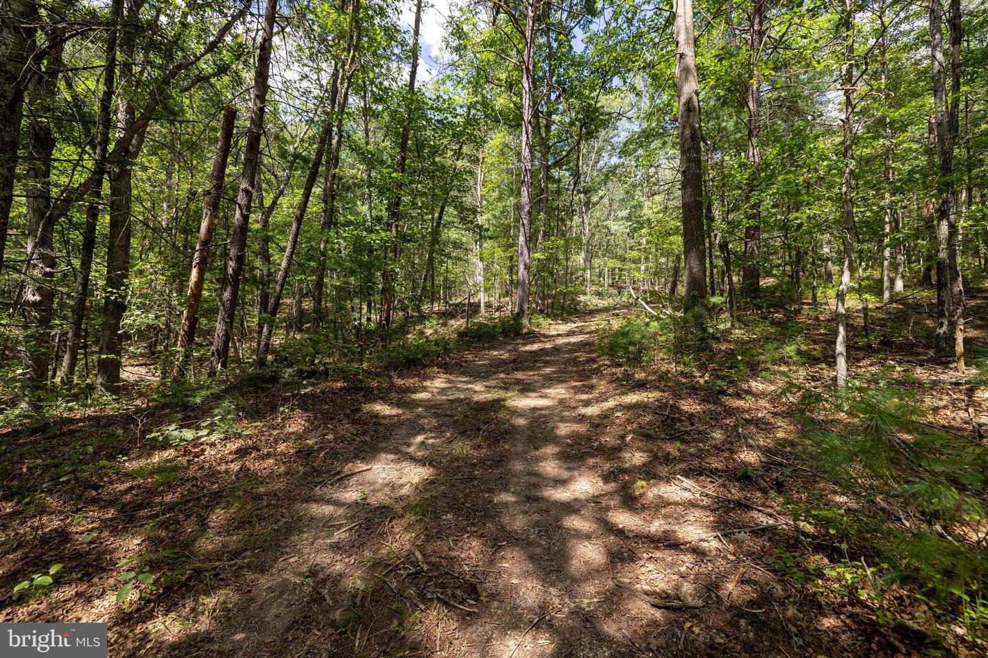 LIBERTY FURNACE ROAD, EDINBURG, Virginia 22824, ,Land,For sale,LIBERTY FURNACE ROAD,VASH2012406 MLS # VASH2012406