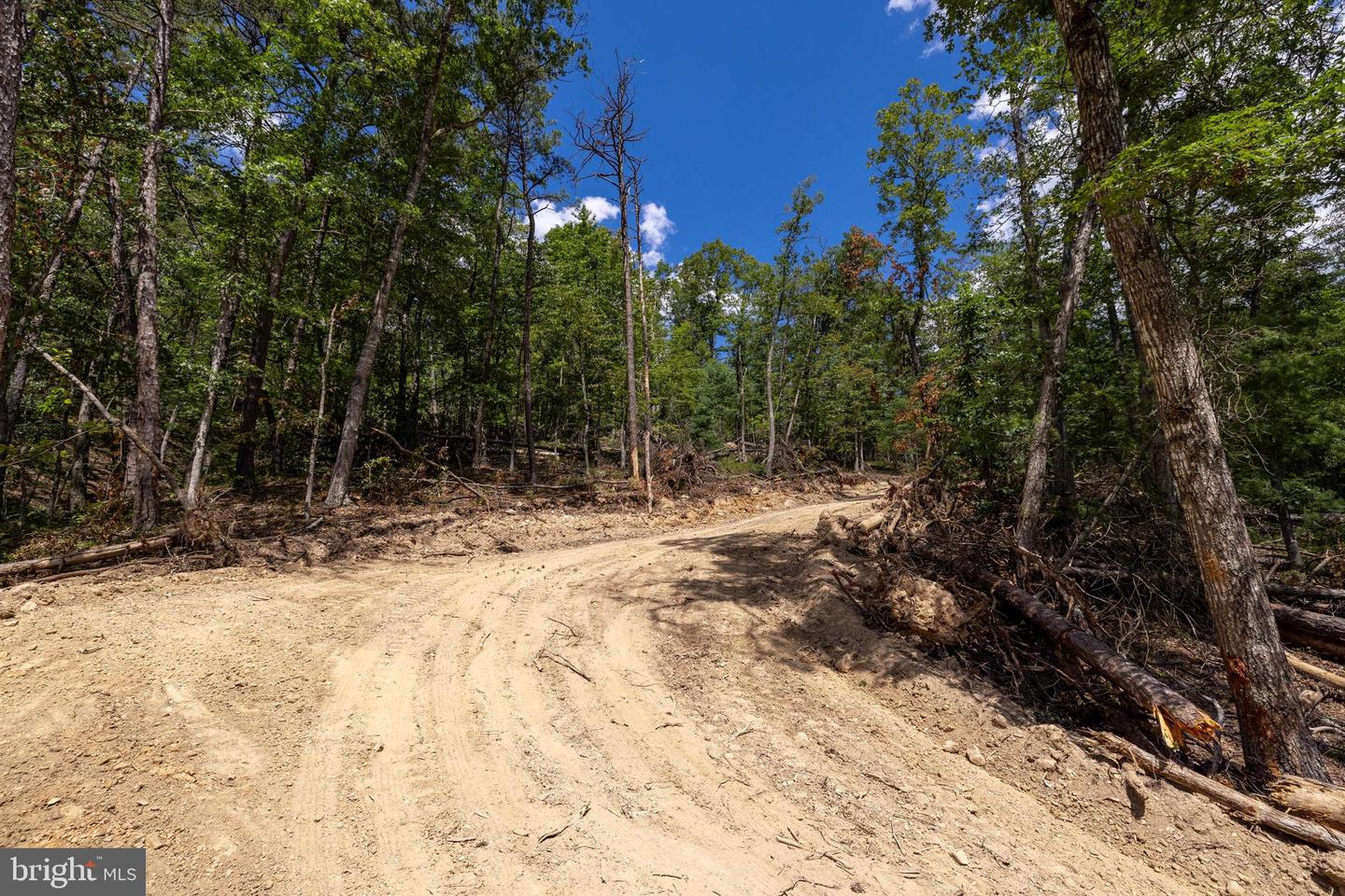 LIBERTY FURNACE ROAD, EDINBURG, Virginia 22824, ,Land,For sale,LIBERTY FURNACE ROAD,VASH2012406 MLS # VASH2012406
