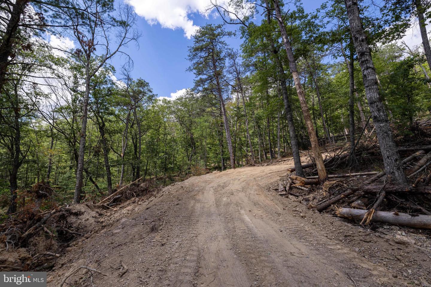 LIBERTY FURNACE ROAD, EDINBURG, Virginia 22824, ,Land,For sale,LIBERTY FURNACE ROAD,VASH2012406 MLS # VASH2012406