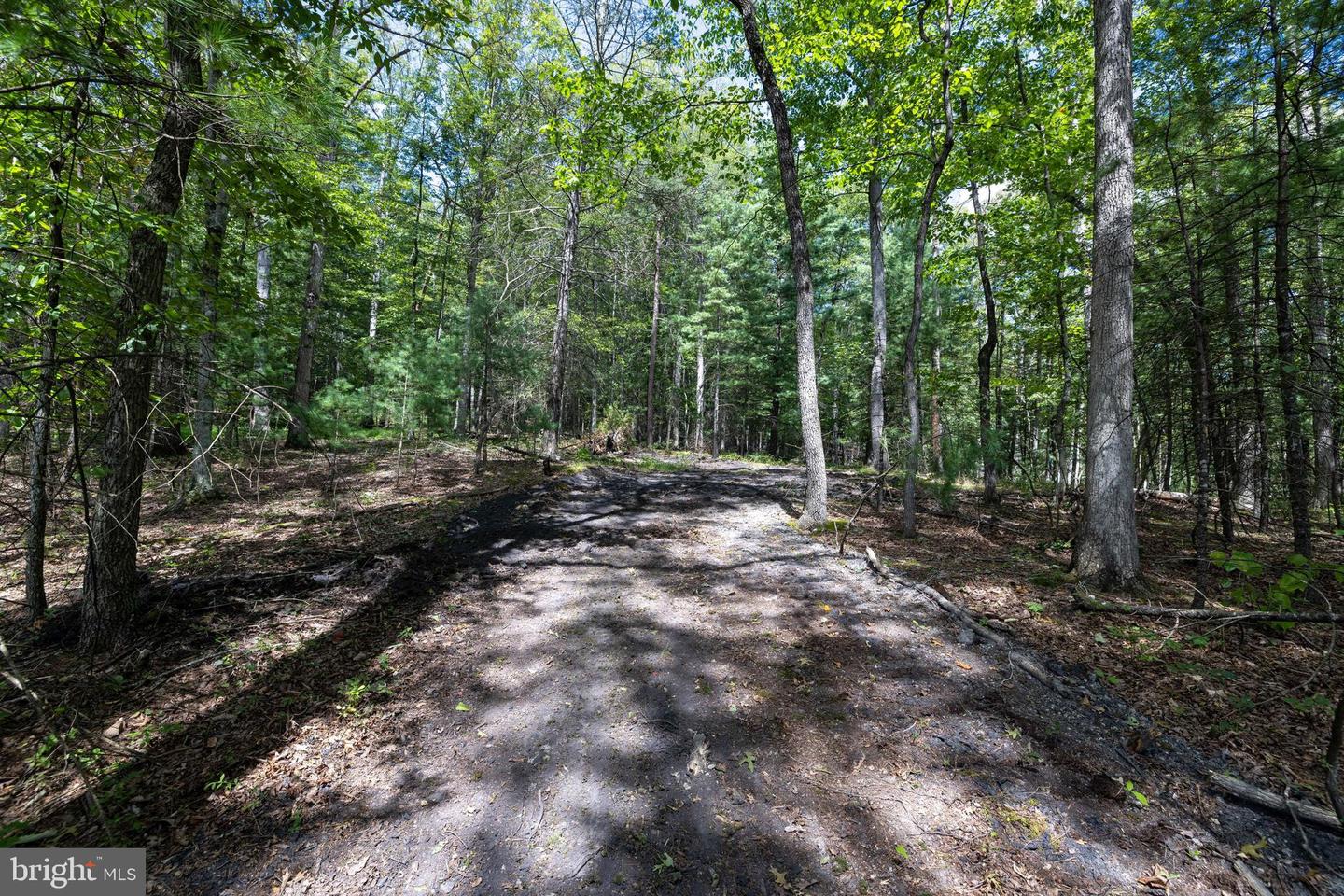 LIBERTY FURNACE ROAD, EDINBURG, Virginia 22824, ,Land,For sale,LIBERTY FURNACE ROAD,VASH2012406 MLS # VASH2012406