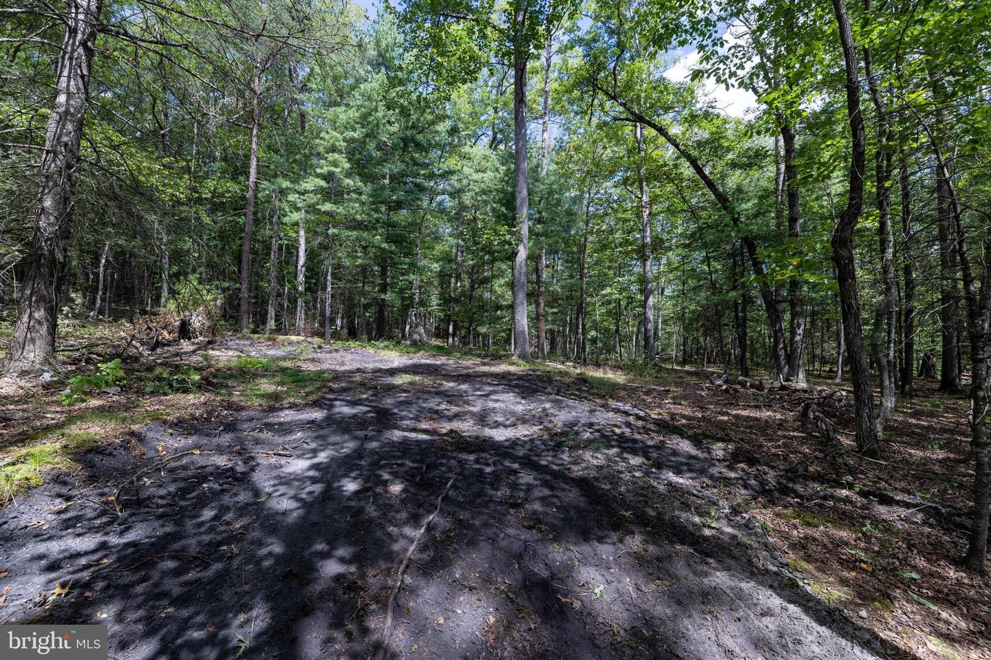LIBERTY FURNACE ROAD, EDINBURG, Virginia 22824, ,Land,For sale,LIBERTY FURNACE ROAD,VASH2012406 MLS # VASH2012406