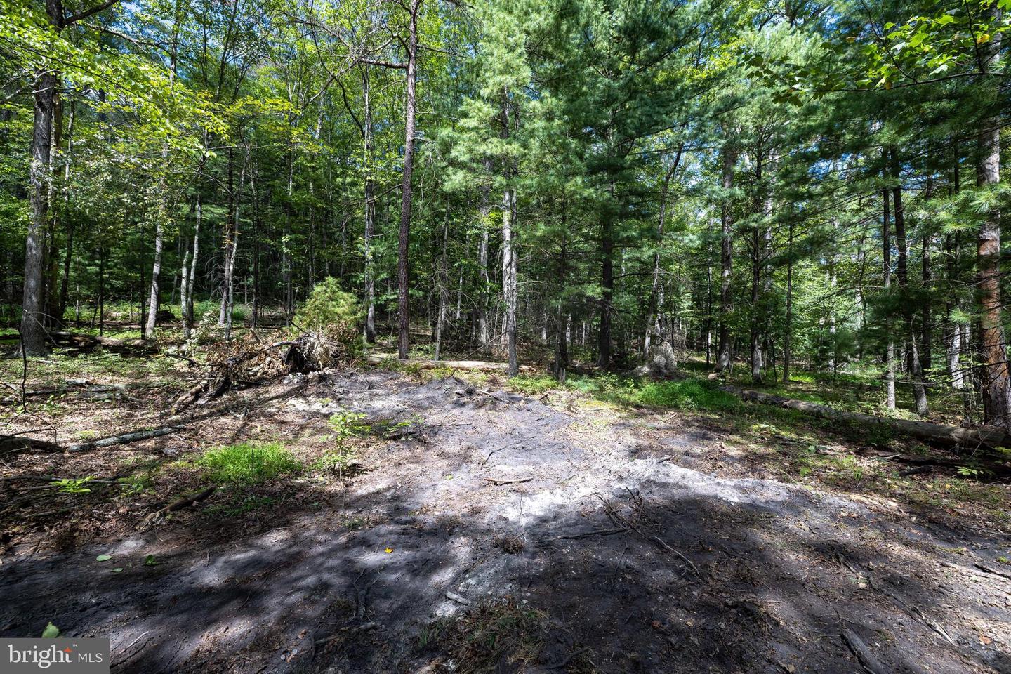LIBERTY FURNACE ROAD, EDINBURG, Virginia 22824, ,Land,For sale,LIBERTY FURNACE ROAD,VASH2012406 MLS # VASH2012406