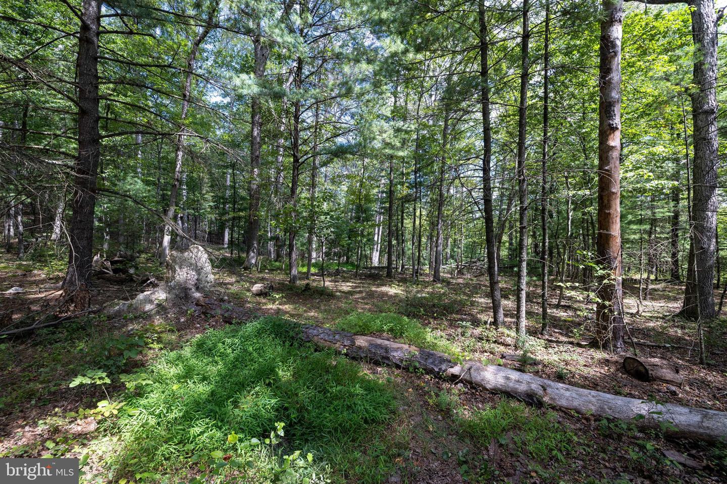 LIBERTY FURNACE ROAD, EDINBURG, Virginia 22824, ,Land,For sale,LIBERTY FURNACE ROAD,VASH2012406 MLS # VASH2012406