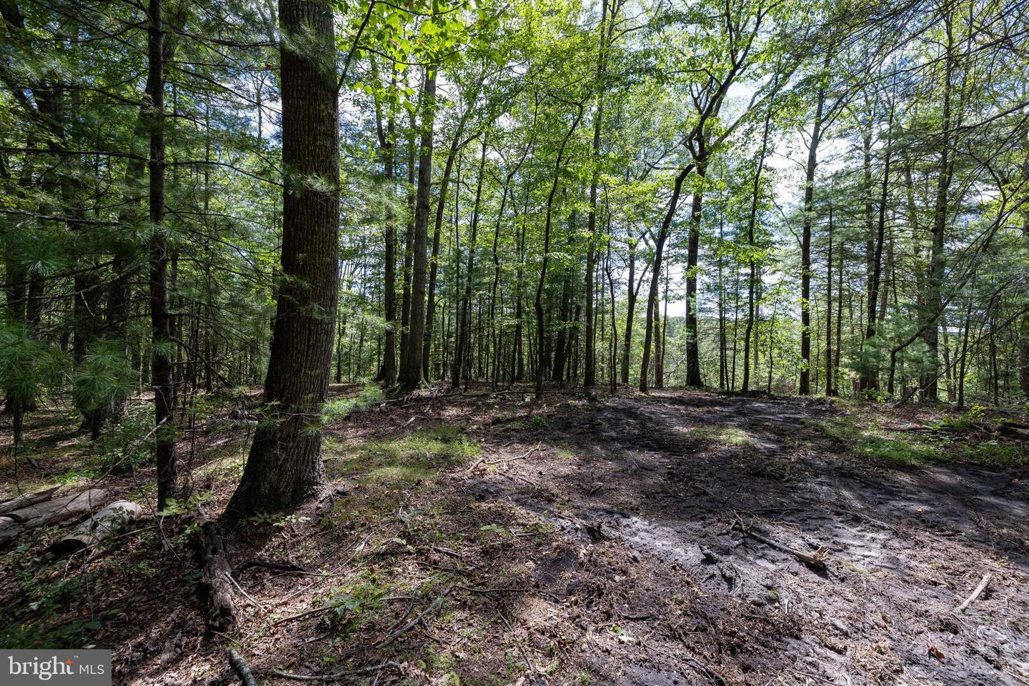 LIBERTY FURNACE ROAD, EDINBURG, Virginia 22824, ,Land,For sale,LIBERTY FURNACE ROAD,VASH2012406 MLS # VASH2012406