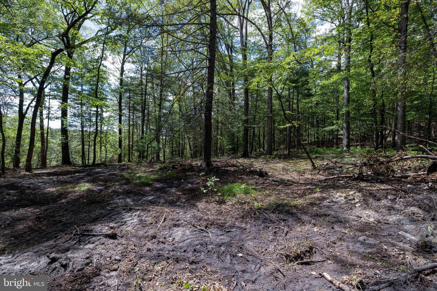 LIBERTY FURNACE ROAD, EDINBURG, Virginia 22824, ,Land,For sale,LIBERTY FURNACE ROAD,VASH2012406 MLS # VASH2012406