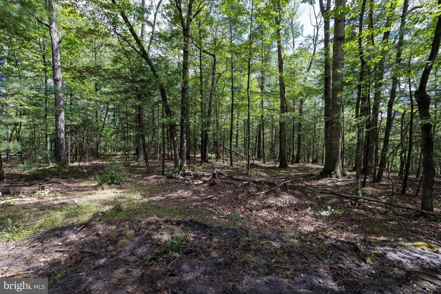 LIBERTY FURNACE ROAD, EDINBURG, Virginia 22824, ,Land,For sale,LIBERTY FURNACE ROAD,VASH2012406 MLS # VASH2012406