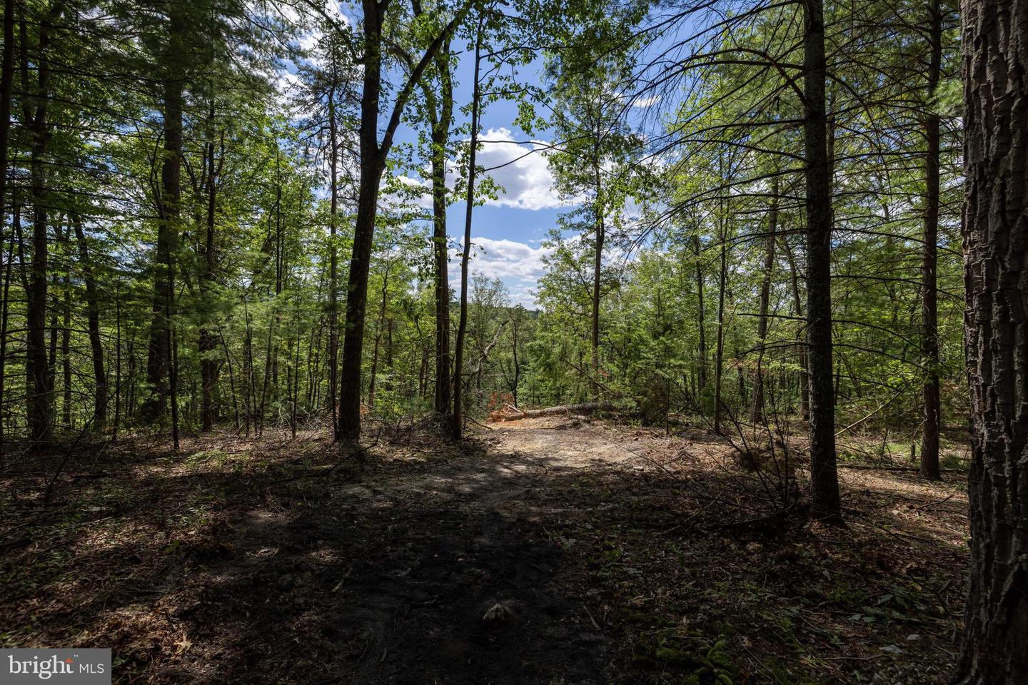 LIBERTY FURNACE ROAD, EDINBURG, Virginia 22824, ,Land,For sale,LIBERTY FURNACE ROAD,VASH2012406 MLS # VASH2012406