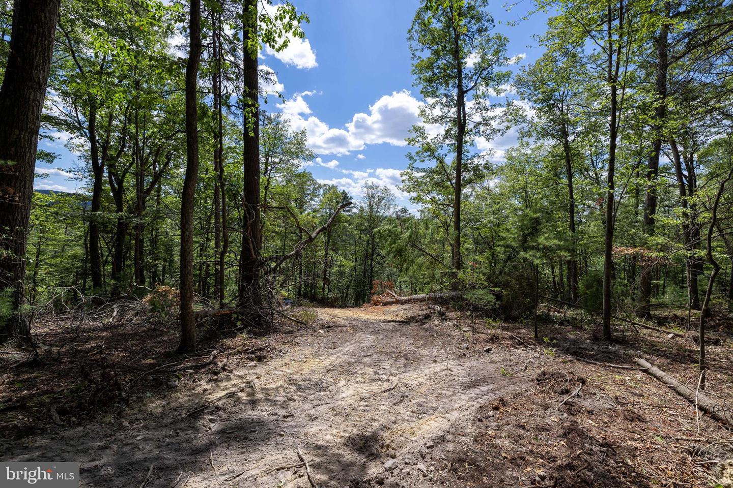 LIBERTY FURNACE ROAD, EDINBURG, Virginia 22824, ,Land,For sale,LIBERTY FURNACE ROAD,VASH2012406 MLS # VASH2012406