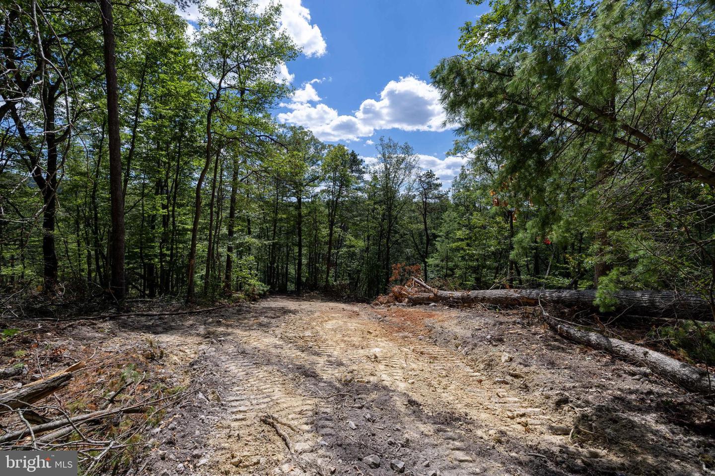 LIBERTY FURNACE ROAD, EDINBURG, Virginia 22824, ,Land,For sale,LIBERTY FURNACE ROAD,VASH2012406 MLS # VASH2012406