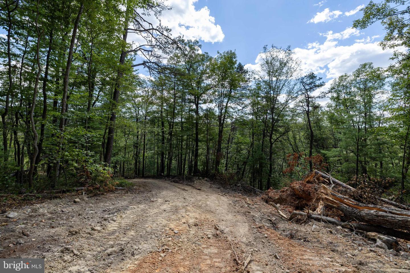 LIBERTY FURNACE ROAD, EDINBURG, Virginia 22824, ,Land,For sale,LIBERTY FURNACE ROAD,VASH2012406 MLS # VASH2012406