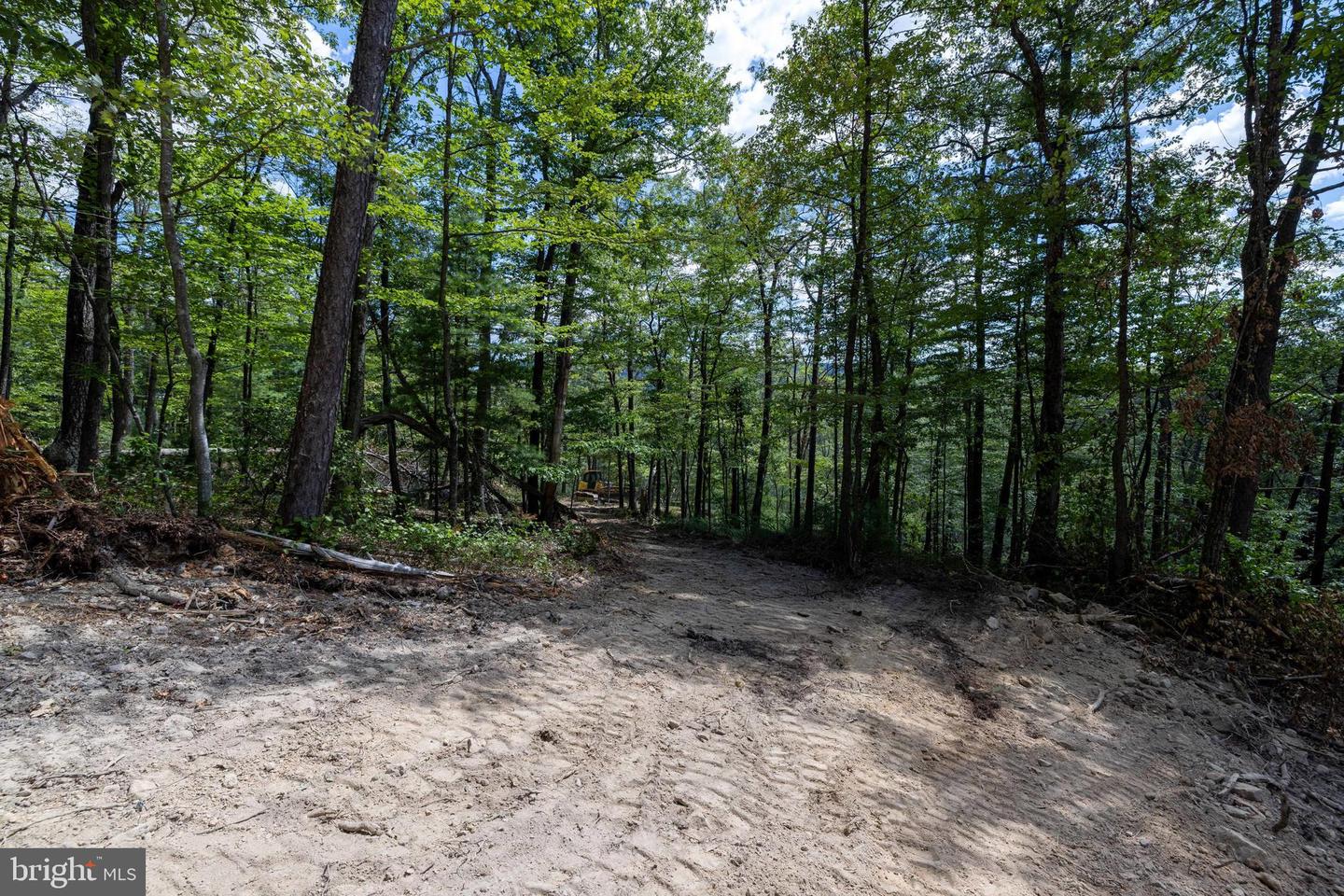 LIBERTY FURNACE ROAD, EDINBURG, Virginia 22824, ,Land,For sale,LIBERTY FURNACE ROAD,VASH2012406 MLS # VASH2012406