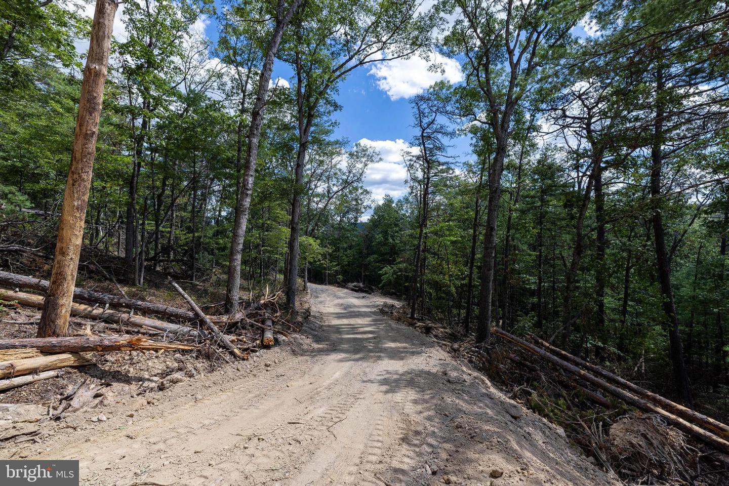 LIBERTY FURNACE ROAD, EDINBURG, Virginia 22824, ,Land,For sale,LIBERTY FURNACE ROAD,VASH2012406 MLS # VASH2012406