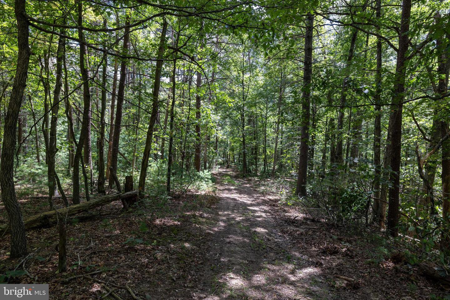 LIBERTY FURNACE ROAD, EDINBURG, Virginia 22824, ,Land,For sale,LIBERTY FURNACE ROAD,VASH2012406 MLS # VASH2012406