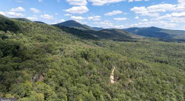 LIBERTY FURNACE ROAD, EDINBURG, Virginia 22824, ,Land,For sale,LIBERTY FURNACE ROAD,VASH2012406 MLS # VASH2012406