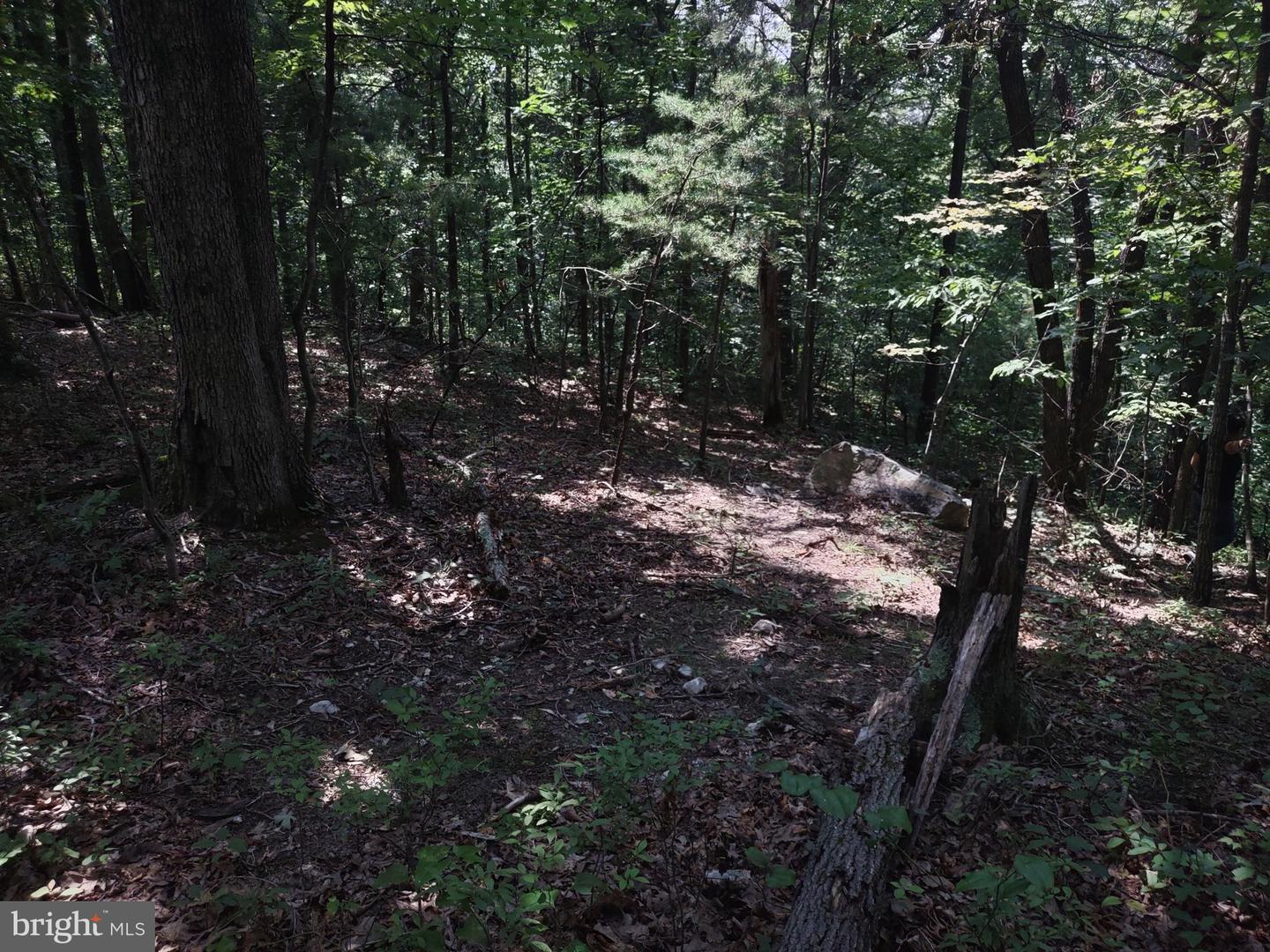 BLEVINS ROAD, LURAY, Virginia 22835, ,Land,For sale,BLEVINS ROAD,VAPA2005314 MLS # VAPA2005314