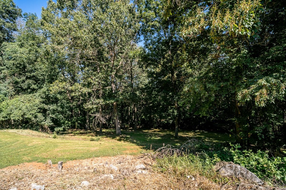 173 RIDGETOP DR, WEYERS CAVE, Virginia 24486, 3 Bedrooms Bedrooms, ,3 BathroomsBathrooms,Residential,173 RIDGETOP DR,668498 MLS # 668498