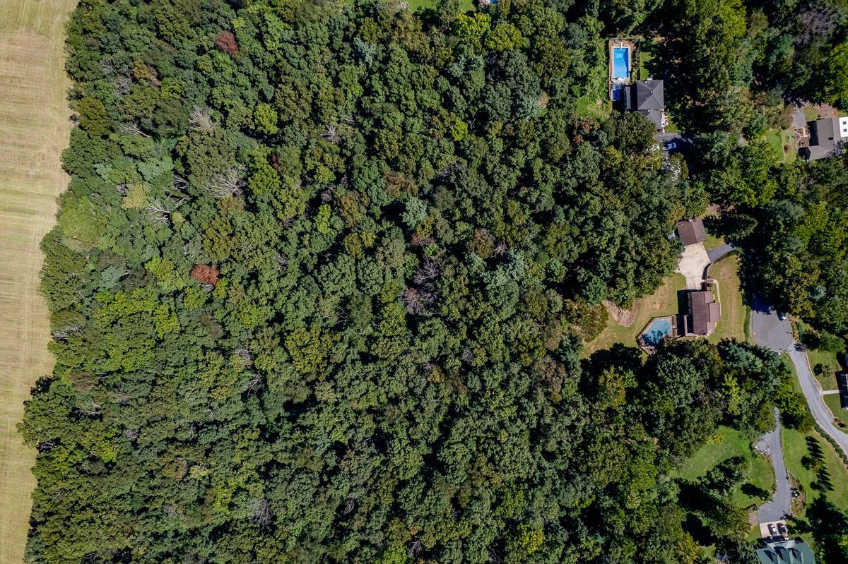 173 RIDGETOP DR, WEYERS CAVE, Virginia 24486, 3 Bedrooms Bedrooms, ,3 BathroomsBathrooms,Residential,173 RIDGETOP DR,668498 MLS # 668498