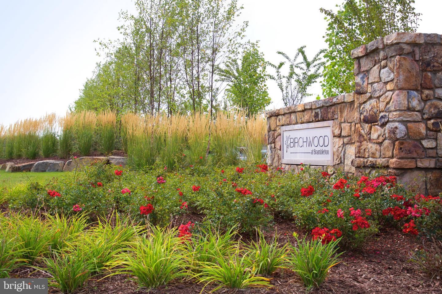 42729 AUTUMN DAY TER, ASHBURN, Virginia 20148, 3 Bedrooms Bedrooms, ,3 BathroomsBathrooms,Residential,For sale,42729 AUTUMN DAY TER,VALO2105736 MLS # VALO2105736