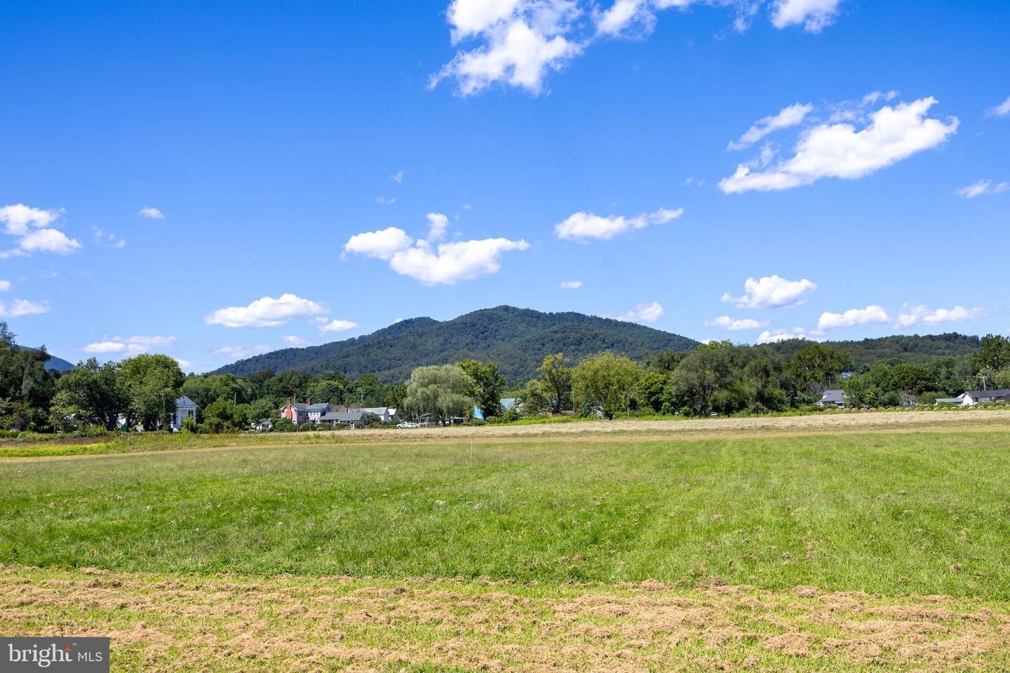 TBD PORTION OF TAXID38-90 SPERRYVILLE PIKE, SPERRYVILLE, Virginia 22740, ,Land,For sale,TBD PORTION OF TAXID38-90 SPERRYVILLE PIKE,VARP2002208 MLS # VARP2002208