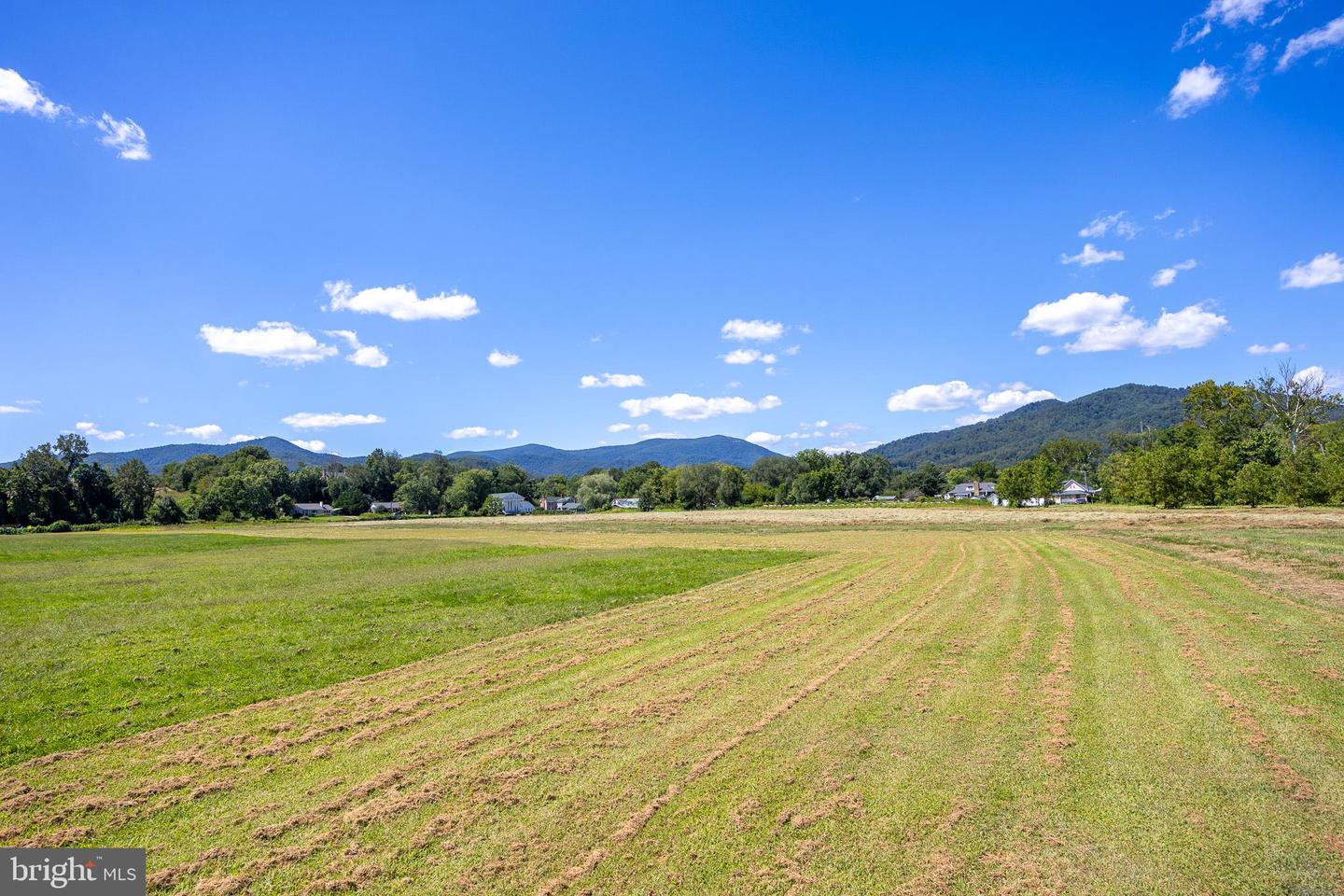 TBD PORTION OF TAXID38-90 SPERRYVILLE PIKE, SPERRYVILLE, Virginia 22740, ,Land,For sale,TBD PORTION OF TAXID38-90 SPERRYVILLE PIKE,VARP2002208 MLS # VARP2002208