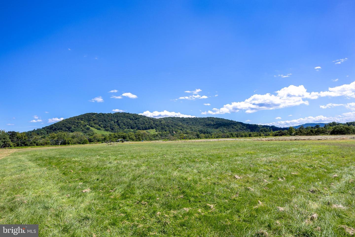 TBD PORTION OF TAXID38-90 SPERRYVILLE PIKE, SPERRYVILLE, Virginia 22740, ,Land,For sale,TBD PORTION OF TAXID38-90 SPERRYVILLE PIKE,VARP2002208 MLS # VARP2002208