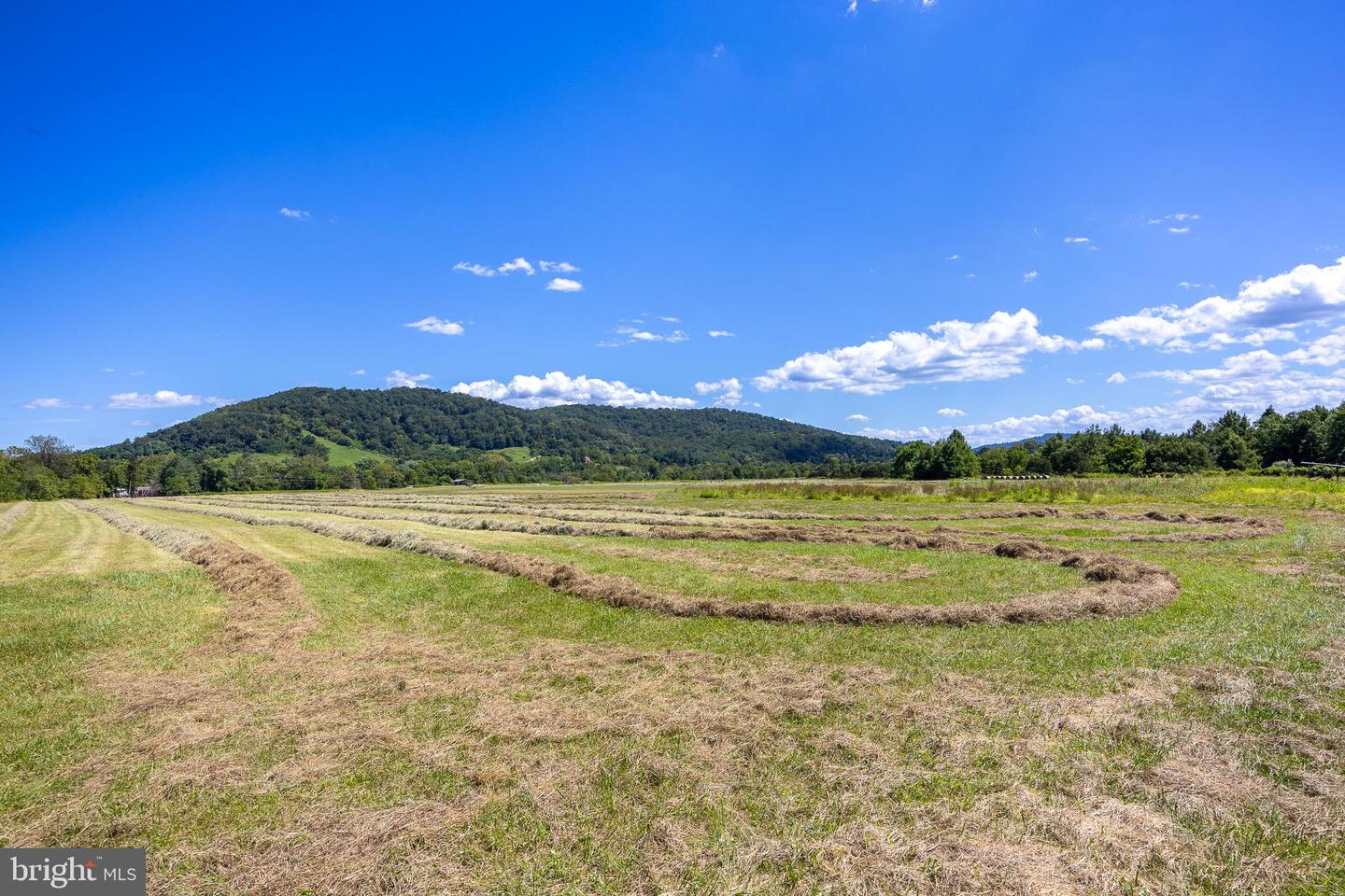 TBD PORTION OF TAXID38-90 SPERRYVILLE PIKE, SPERRYVILLE, Virginia 22740, ,Land,For sale,TBD PORTION OF TAXID38-90 SPERRYVILLE PIKE,VARP2002208 MLS # VARP2002208