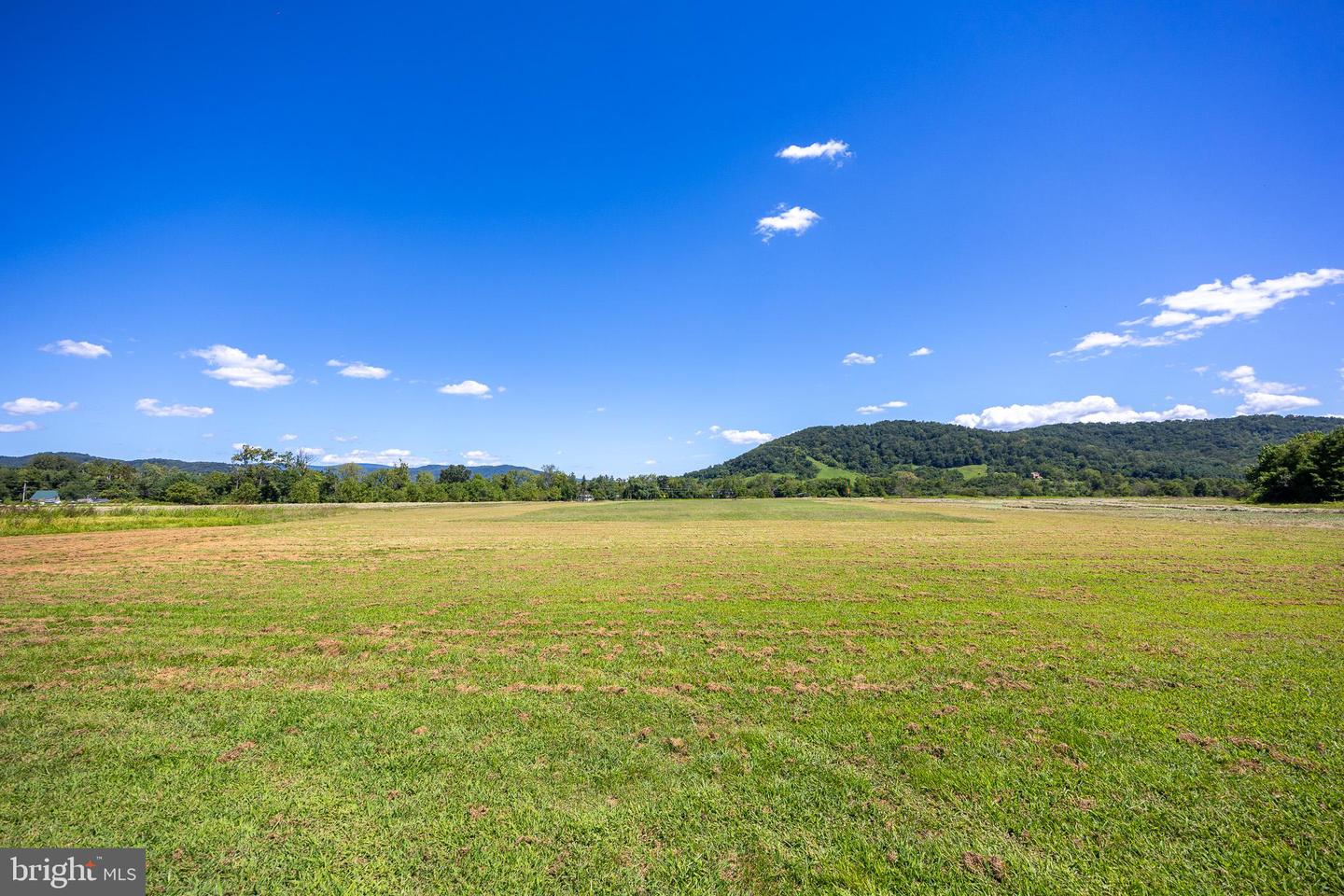 TBD PORTION OF TAXID38-90 SPERRYVILLE PIKE, SPERRYVILLE, Virginia 22740, ,Land,For sale,TBD PORTION OF TAXID38-90 SPERRYVILLE PIKE,VARP2002208 MLS # VARP2002208
