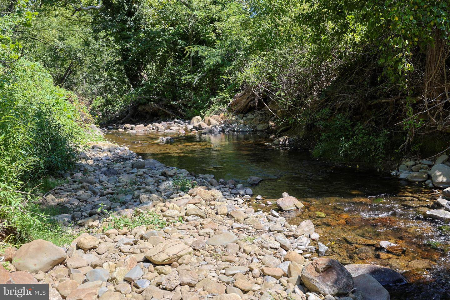 TBD PORTION OF TAXID38-90 SPERRYVILLE PIKE, SPERRYVILLE, Virginia 22740, ,Land,For sale,TBD PORTION OF TAXID38-90 SPERRYVILLE PIKE,VARP2002208 MLS # VARP2002208