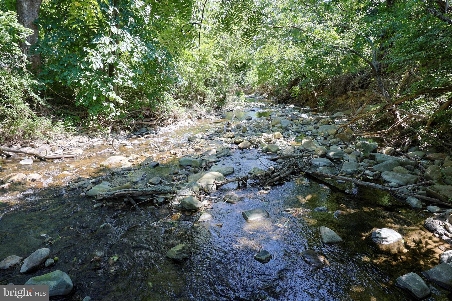 TBD PORTION OF TAXID38-90 SPERRYVILLE PIKE, SPERRYVILLE, Virginia 22740, ,Land,For sale,TBD PORTION OF TAXID38-90 SPERRYVILLE PIKE,VARP2002208 MLS # VARP2002208
