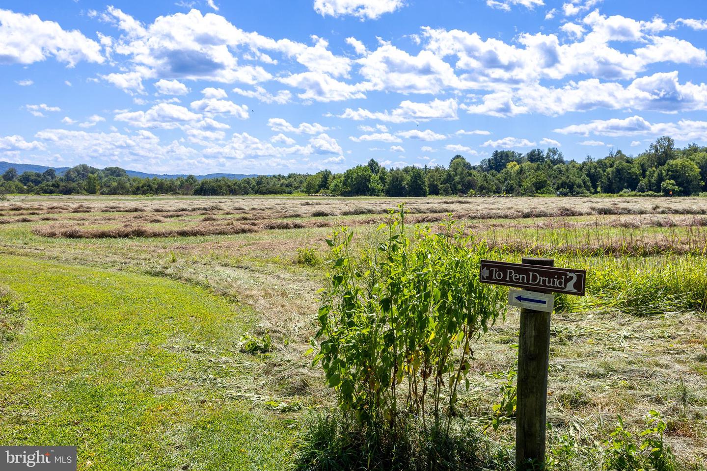 TBD PORTION OF TAXID38-90 SPERRYVILLE PIKE, SPERRYVILLE, Virginia 22740, ,Land,For sale,TBD PORTION OF TAXID38-90 SPERRYVILLE PIKE,VARP2002208 MLS # VARP2002208