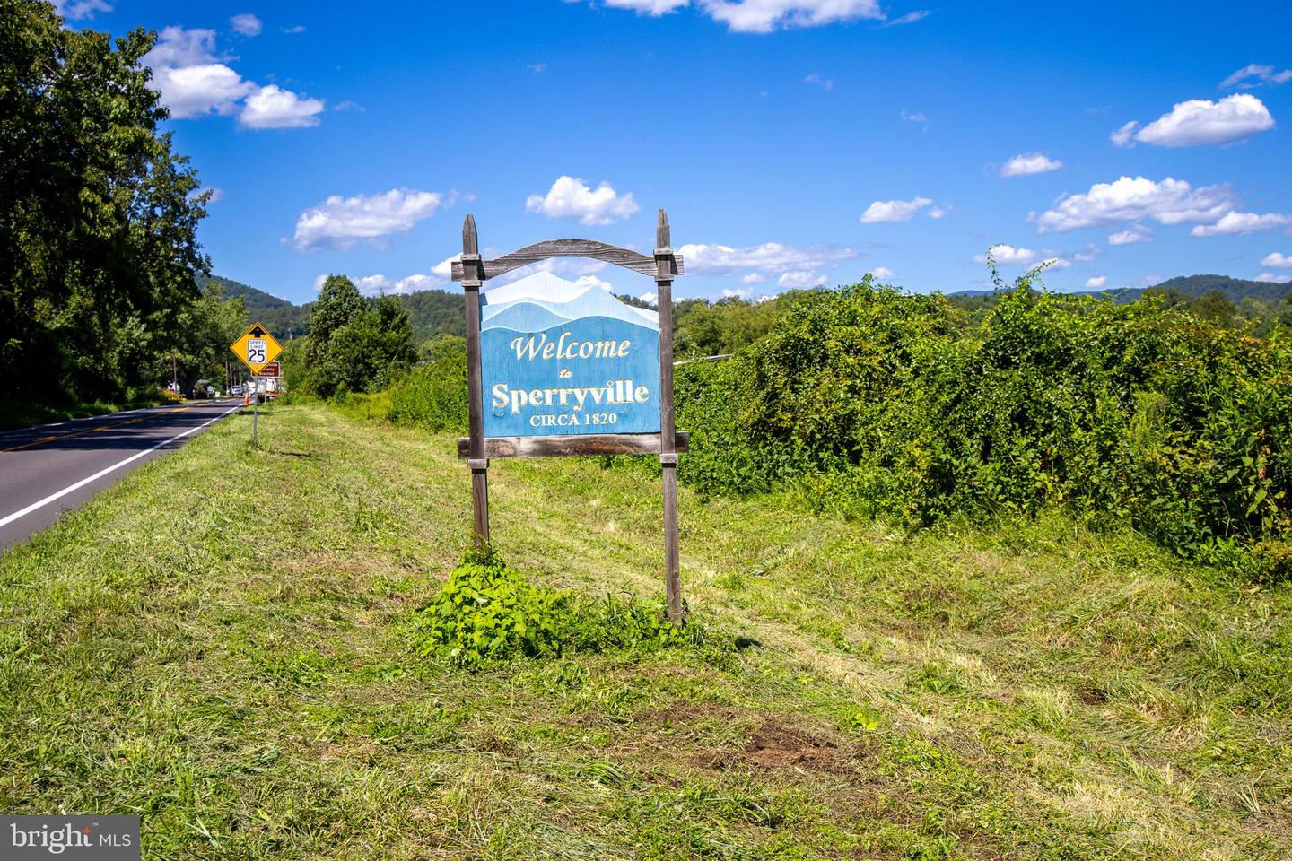 TBD PORTION OF TAXID38-90 SPERRYVILLE PIKE, SPERRYVILLE, Virginia 22740, ,Land,For sale,TBD PORTION OF TAXID38-90 SPERRYVILLE PIKE,VARP2002208 MLS # VARP2002208