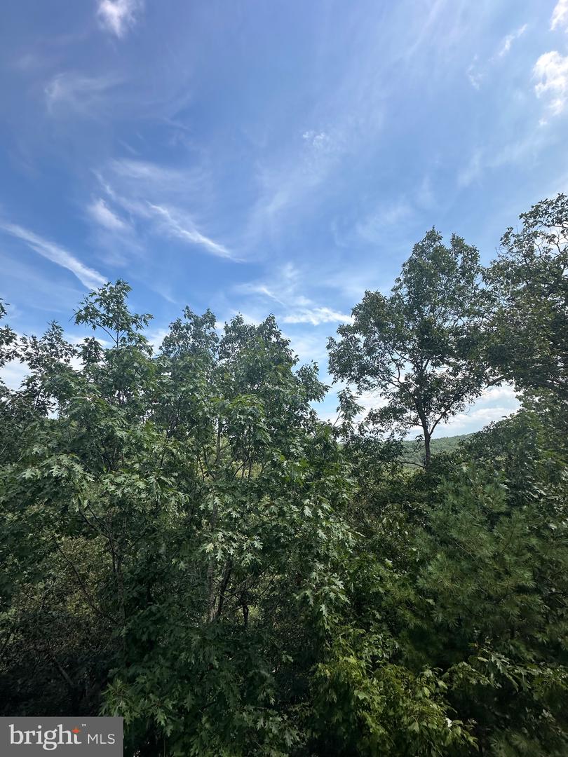 20 EWALLS RIDGE RD, BASYE, Virginia 22810, ,Land,For sale,20 EWALLS RIDGE RD,VASH2012410 MLS # VASH2012410