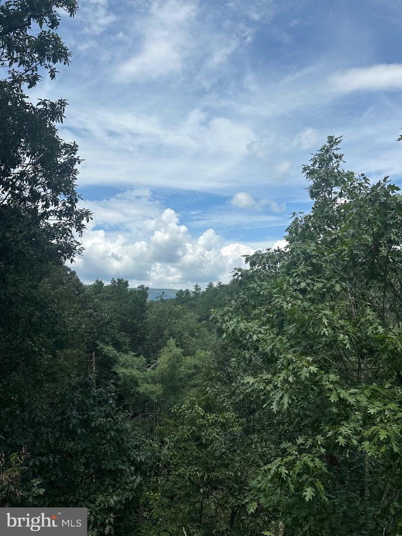 20 EWALLS RIDGE RD, BASYE, Virginia 22810, ,Land,For sale,20 EWALLS RIDGE RD,VASH2012410 MLS # VASH2012410