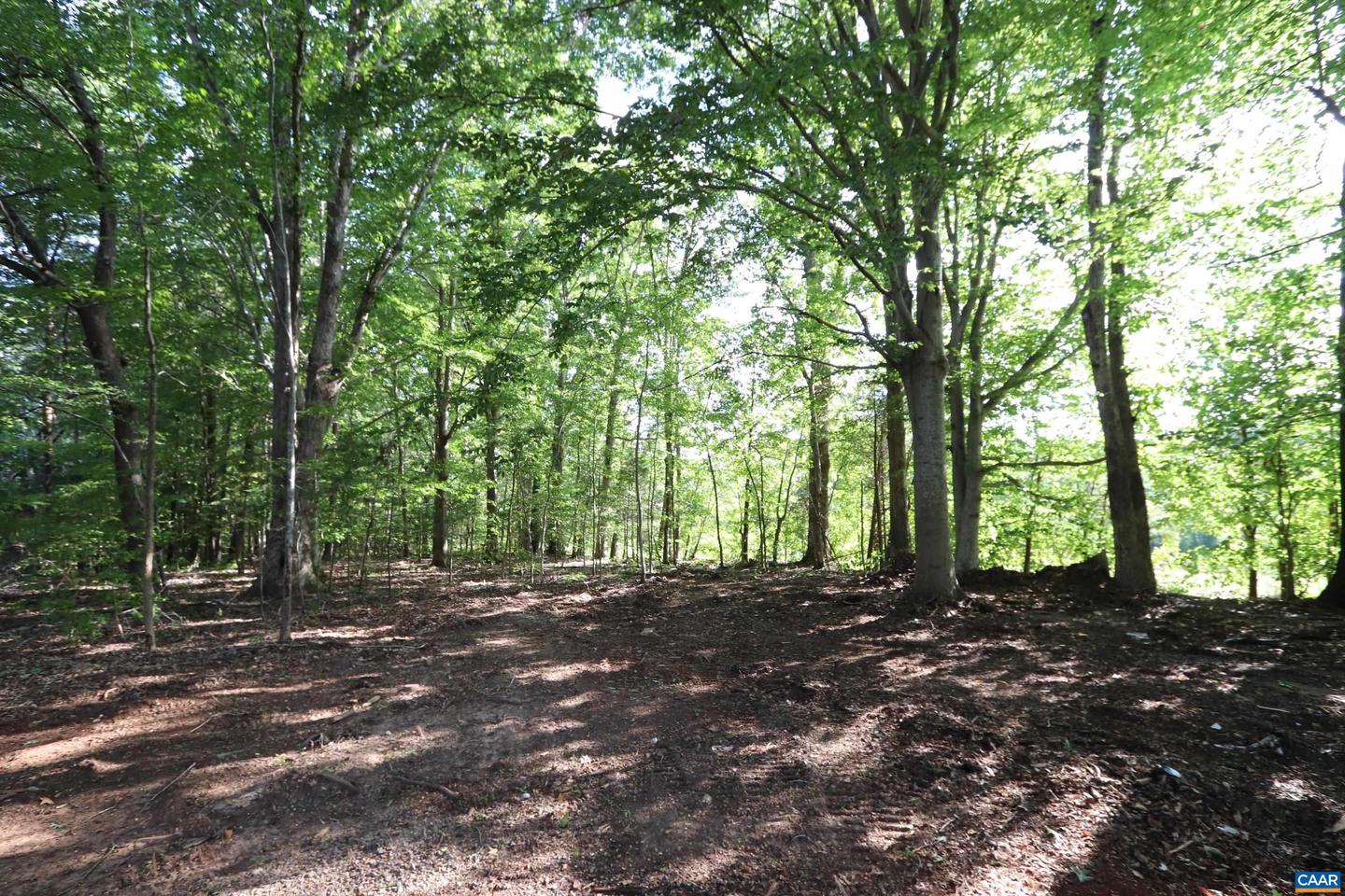 1041 W OLD MOUNTAIN RD, LOUISA, Virginia 23093, 3 Bedrooms Bedrooms, ,2 BathroomsBathrooms,Residential,For sale,1041 W OLD MOUNTAIN RD,668510 MLS # 668510
