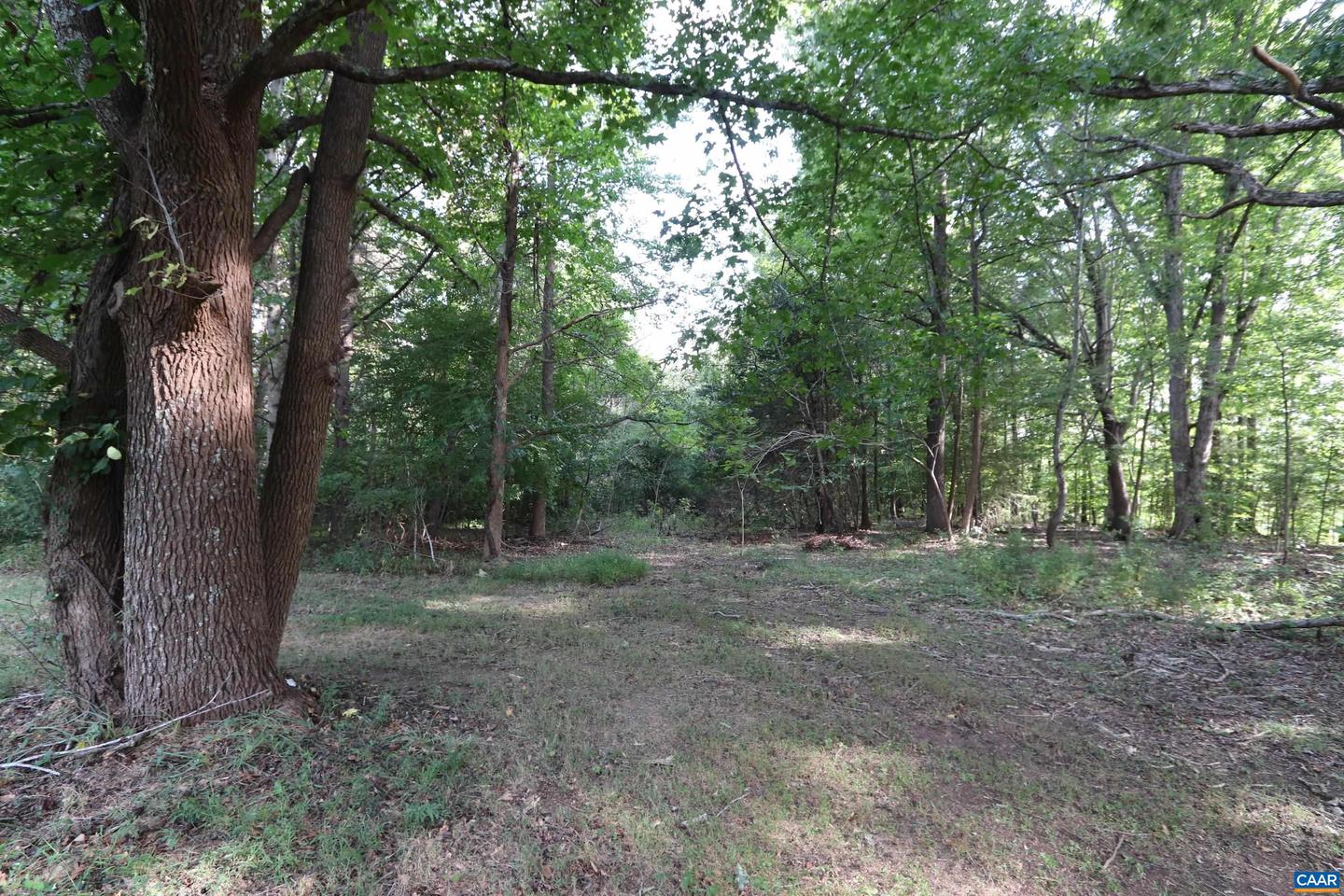1041 W OLD MOUNTAIN RD, LOUISA, Virginia 23093, 3 Bedrooms Bedrooms, ,2 BathroomsBathrooms,Residential,For sale,1041 W OLD MOUNTAIN RD,668510 MLS # 668510